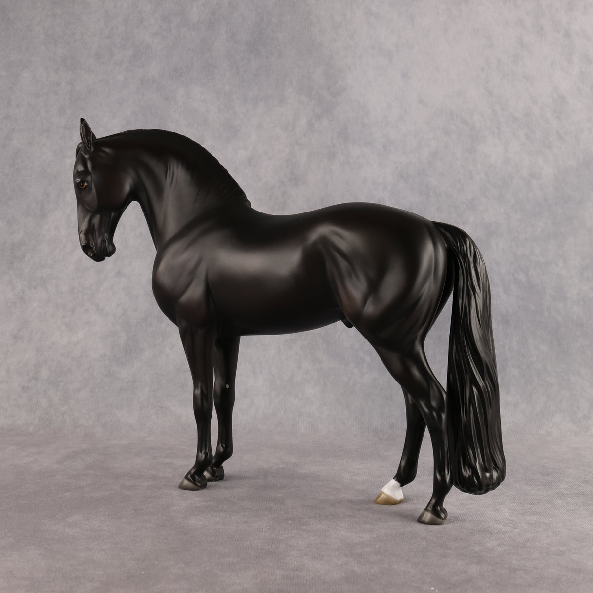 Drogo LE-7 FCM Andalusian by Ashley Palmer EL26