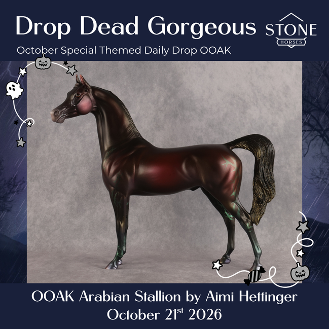Drop Dead Gorgeous OOAK Arabian Stallion by Aimi Hettinger DDOOAKs26