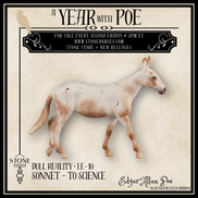 Dull Reality LE-10 FCM Chip Mule by Ellen Robbins YP26
