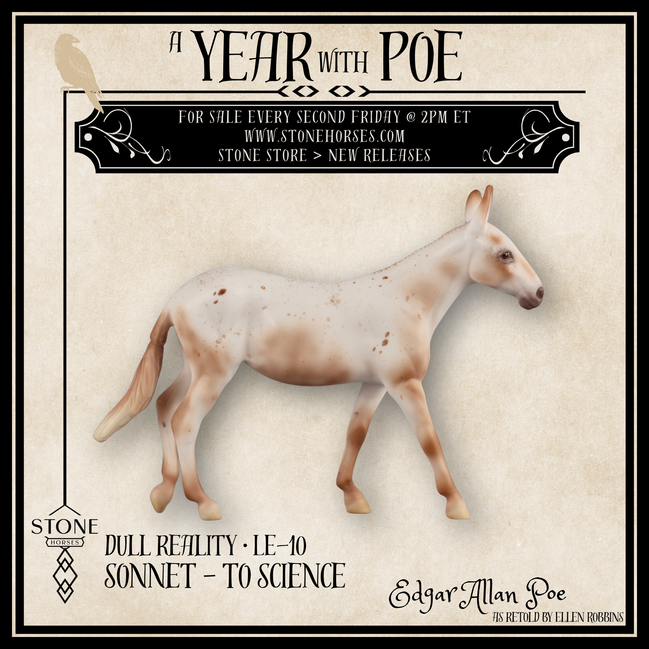 Dull Reality LE-10 FCM Chip Mule by Ellen Robbins YP26