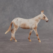 Dull Reality LE-10 FCM Chip Mule by Ellen Robbins YP26
