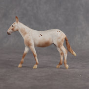 Dull Reality LE-10 FCM Chip Mule by Ellen Robbins YP26