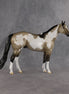 Dune OOAK Ideal Stock Horse by Madi Wiseman EQ26