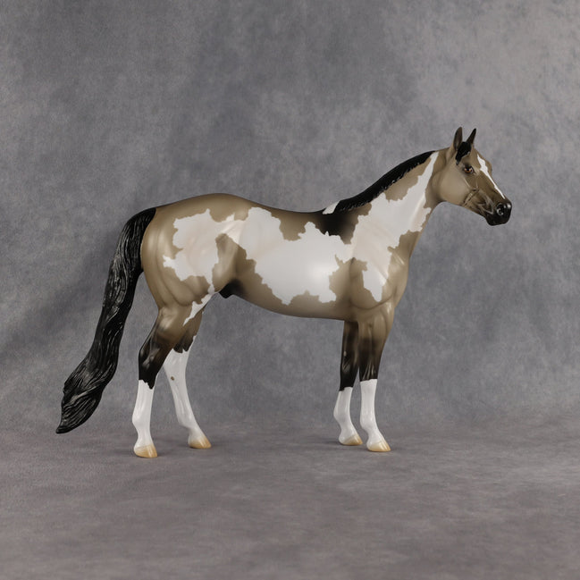 Dune OOAK Ideal Stock Horse by Madi Wiseman EQ26