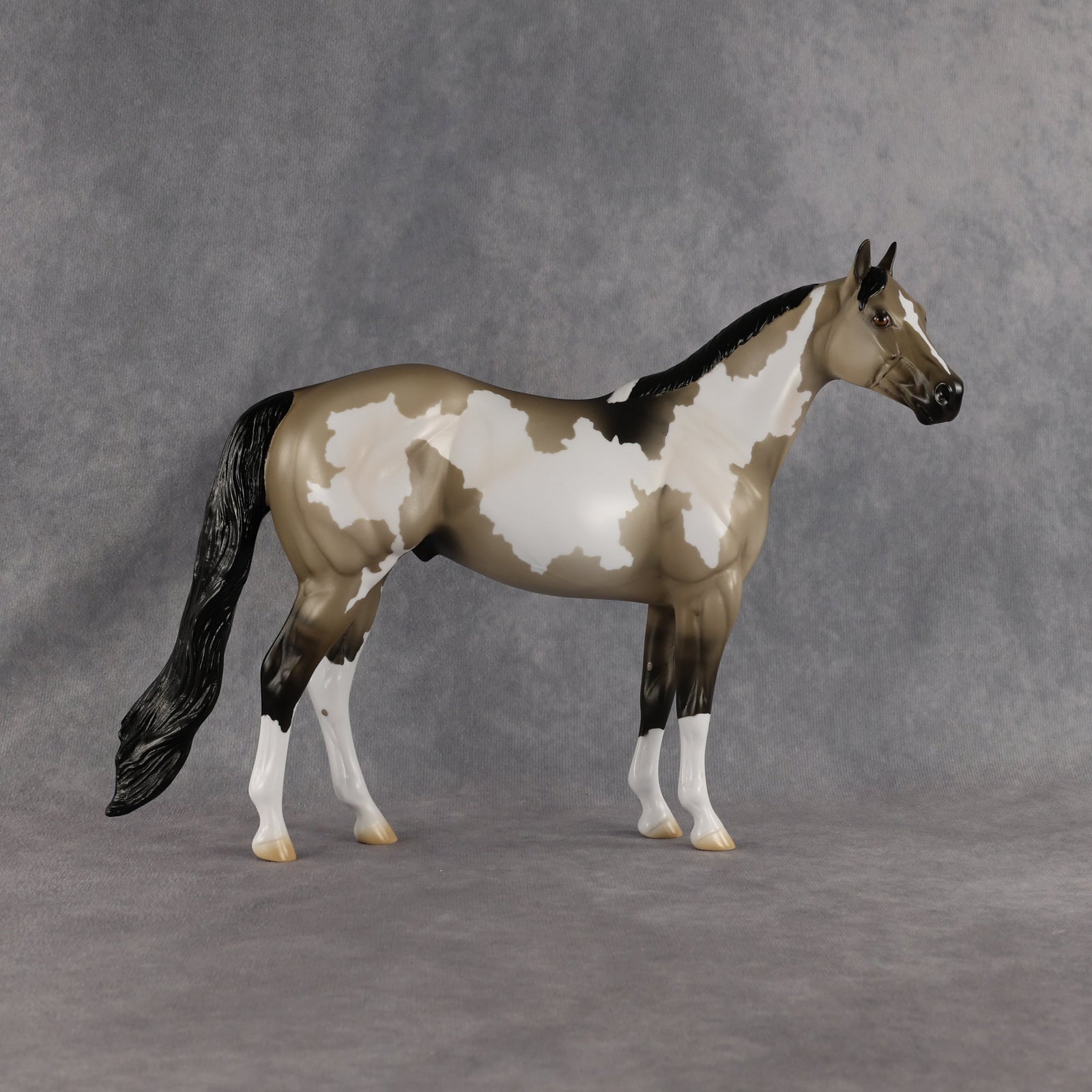 Dune OOAK Ideal Stock Horse by Madi Wiseman EQ26