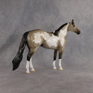 Dune OOAK Ideal Stock Horse by Madi Wiseman EQ26