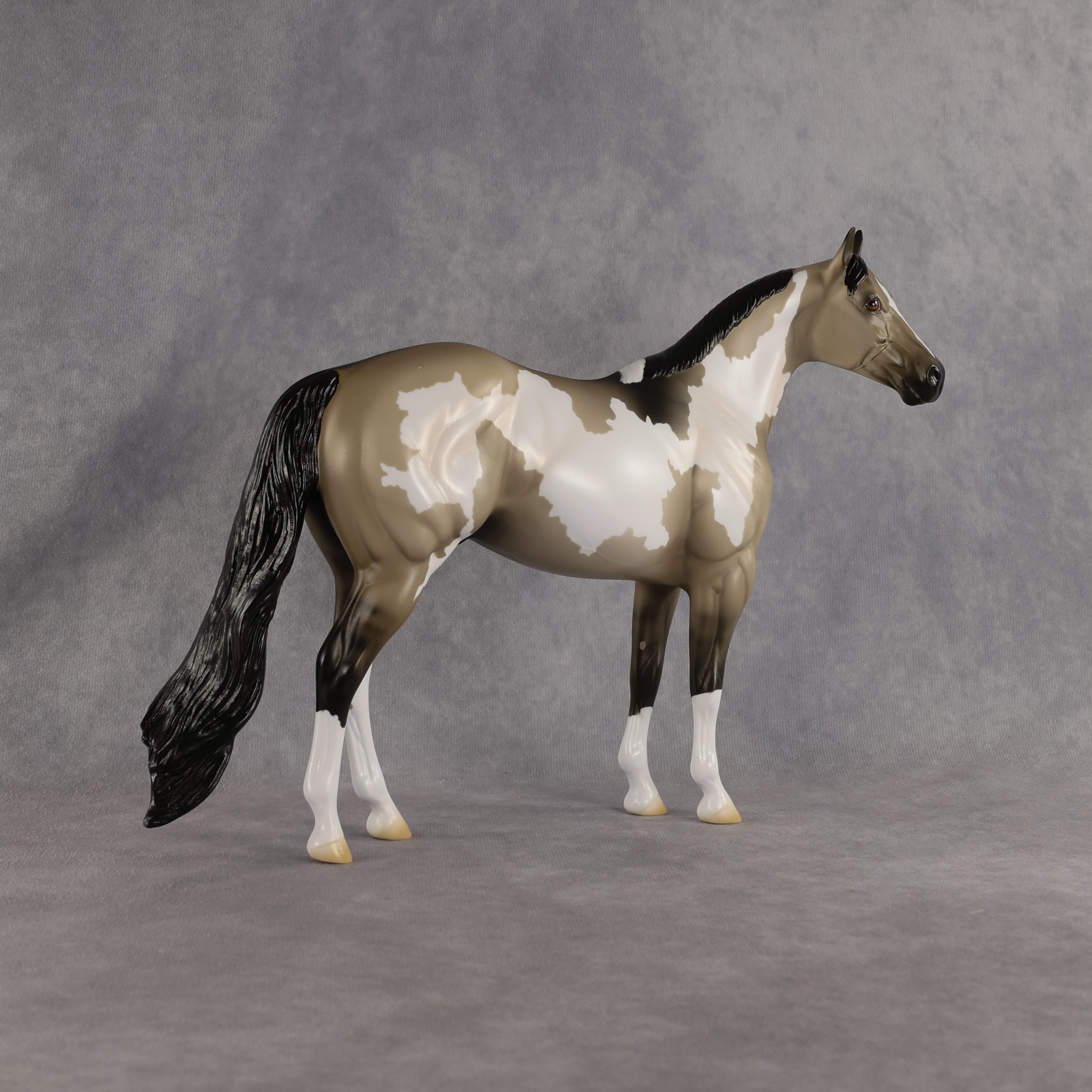 Dune OOAK Ideal Stock Horse by Madi Wiseman EQ26