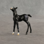 Dawn & Dusk OOAK Chip FCM Stock Horse & Chip Foal by Anna Rieck SCD26