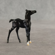 Dawn & Dusk OOAK Chip FCM Stock Horse & Chip Foal by Anna Rieck SCD26