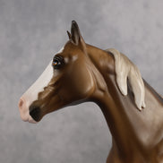 Dust In The Wind OOAK FCM Ideal Stock Horse by Sheryl Leisure Best Offer 9.8.2026