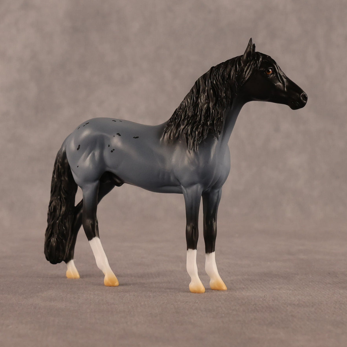 Dutch OOAK Chip Andalusian by Madi Wiseman LHS26