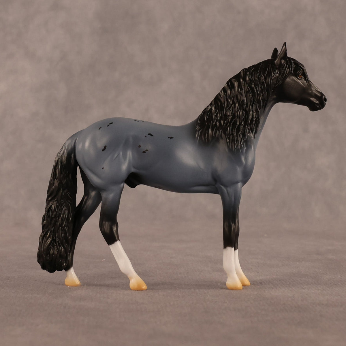 Dutch OOAK Chip Andalusian by Madi Wiseman LHS26