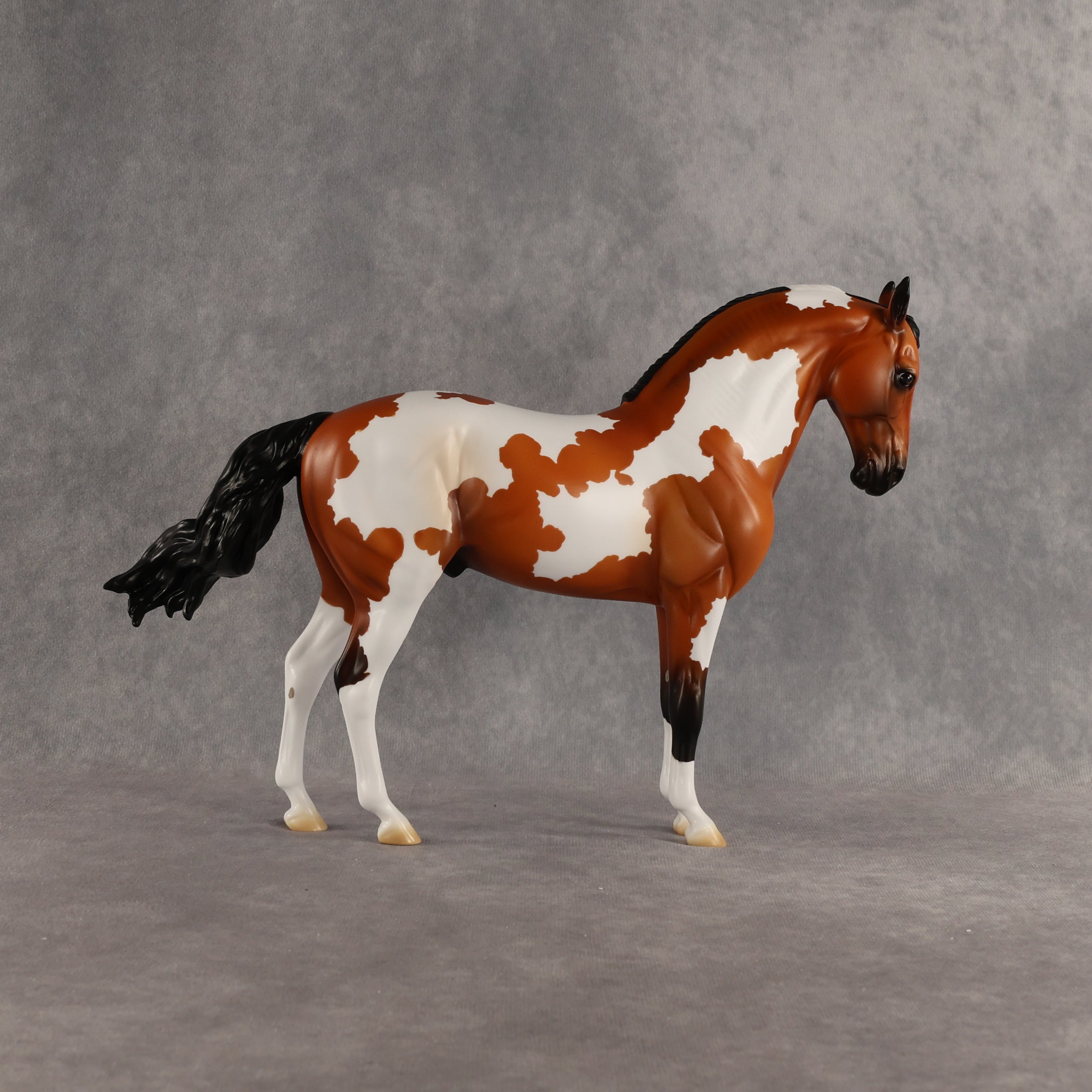 Eagle OOAK FCM Andalusian by Madi Wiseman DDOOAKs26