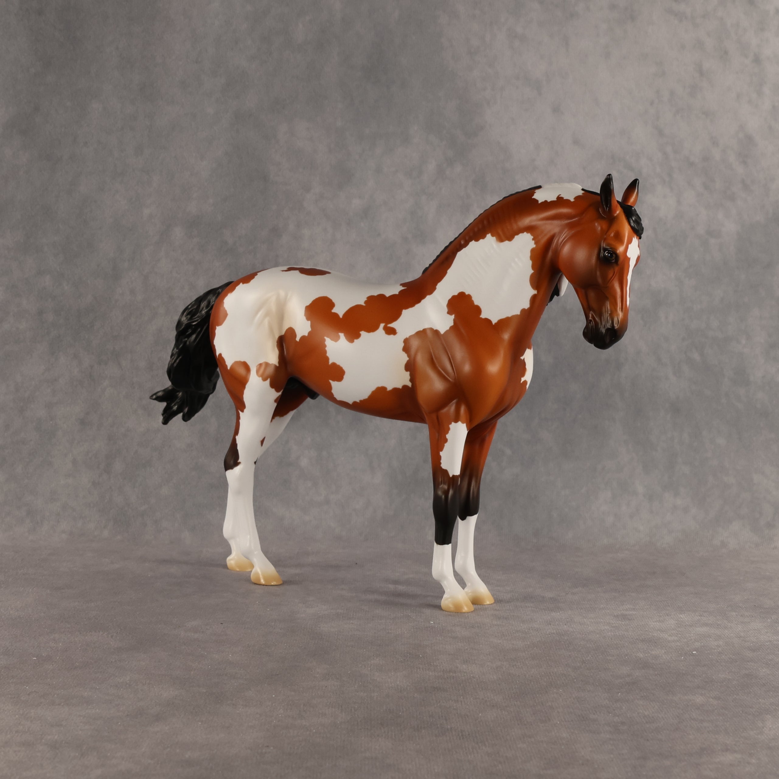 Eagle OOAK FCM Andalusian by Madi Wiseman DDOOAKs26