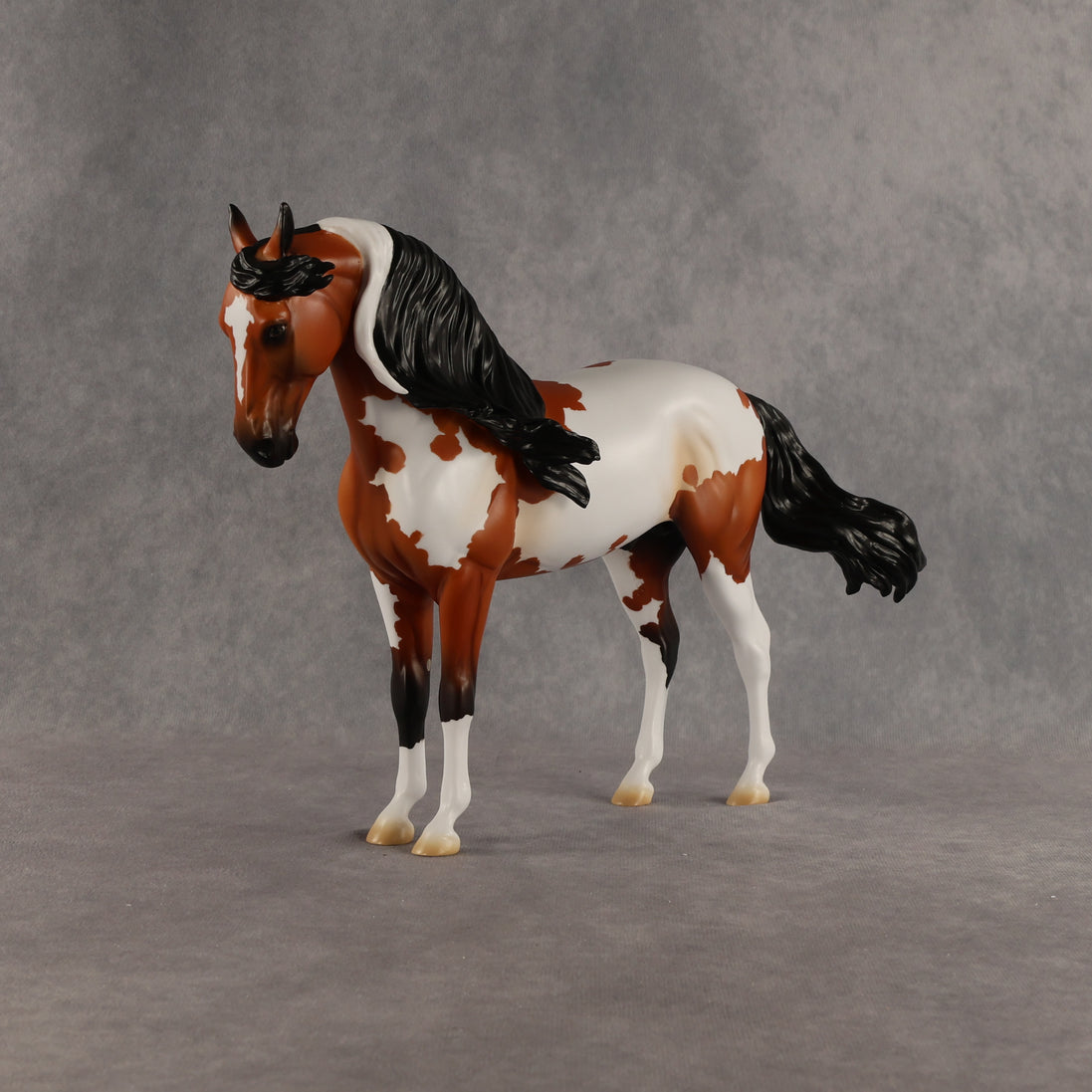 Eagle OOAK FCM Andalusian by Madi Wiseman DDOOAKs26