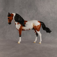 Eagle OOAK FCM Andalusian by Madi Wiseman DDOOAKs26