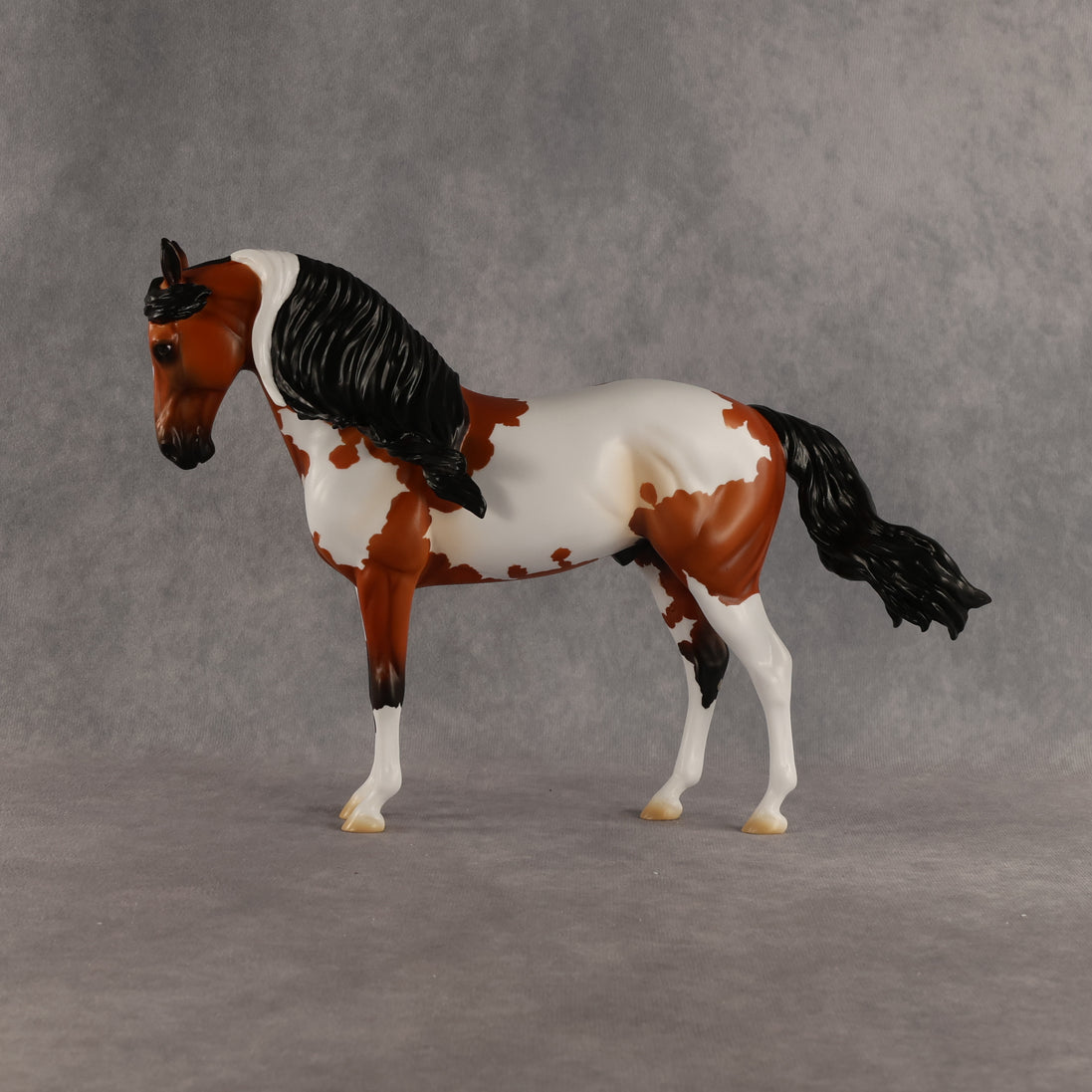 Eagle OOAK FCM Andalusian by Madi Wiseman DDOOAKs26