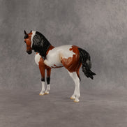 Eagle OOAK FCM Andalusian by Madi Wiseman DDOOAKs26