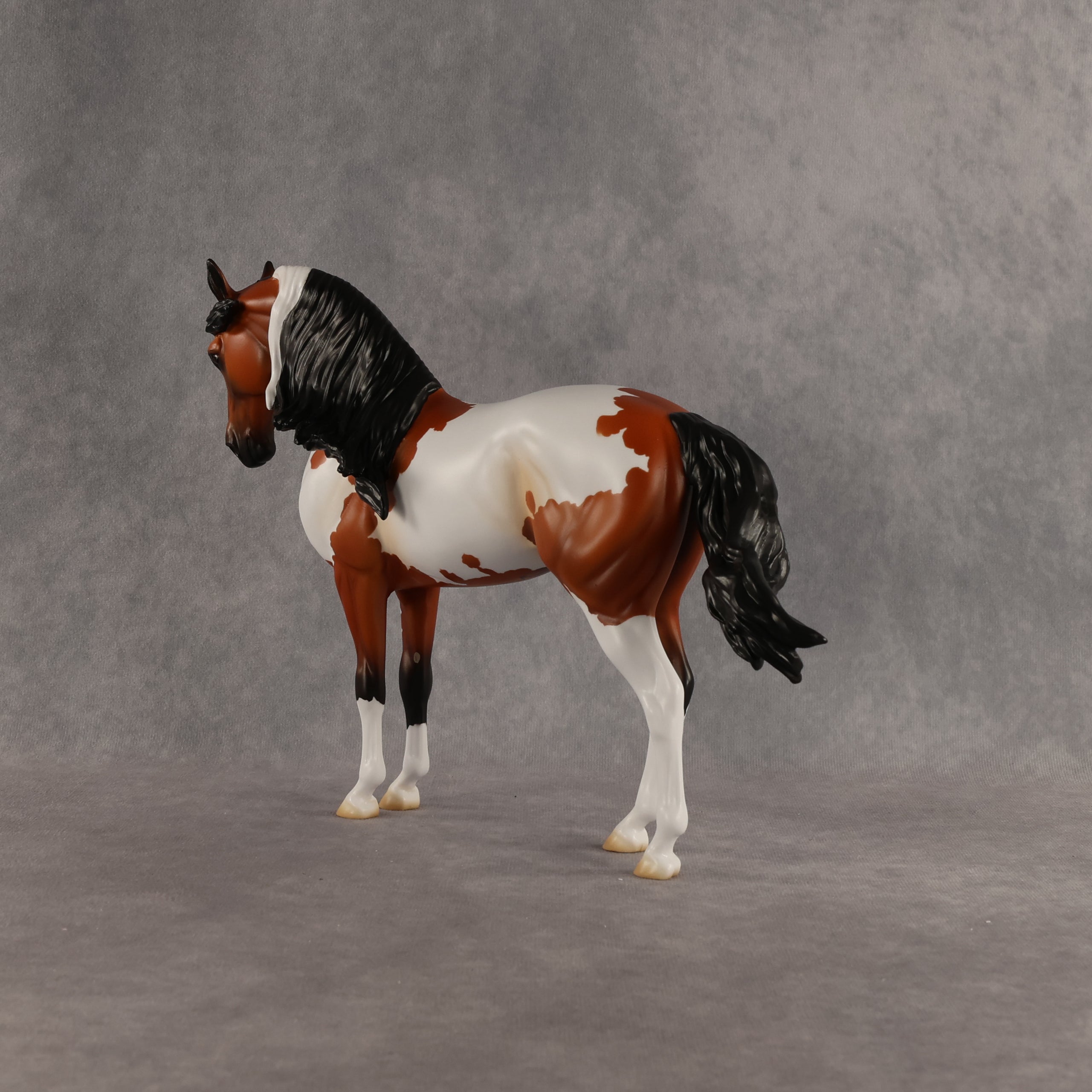 Eagle OOAK FCM Andalusian by Madi Wiseman DDOOAKs26