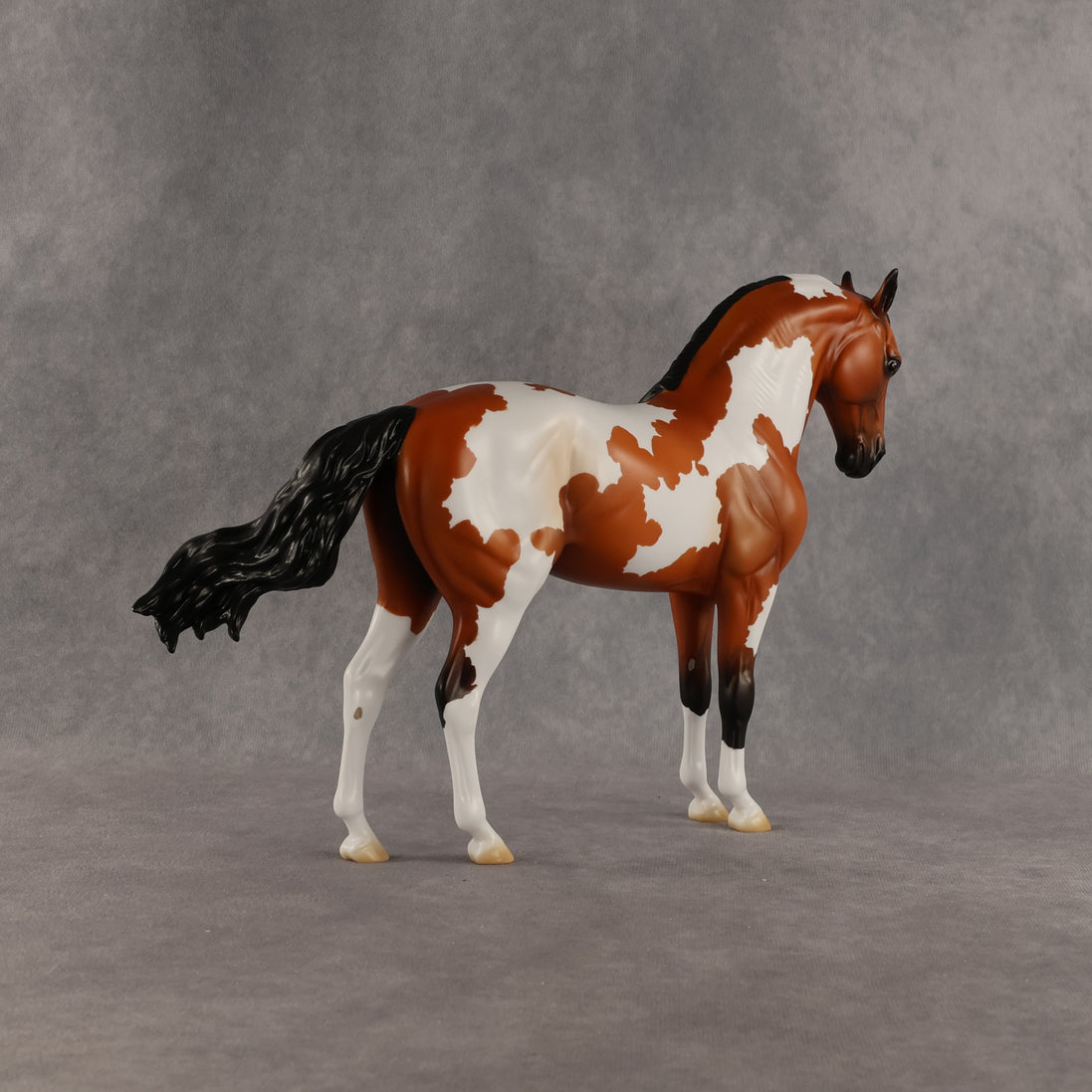 Eagle OOAK FCM Andalusian by Madi Wiseman DDOOAKs26
