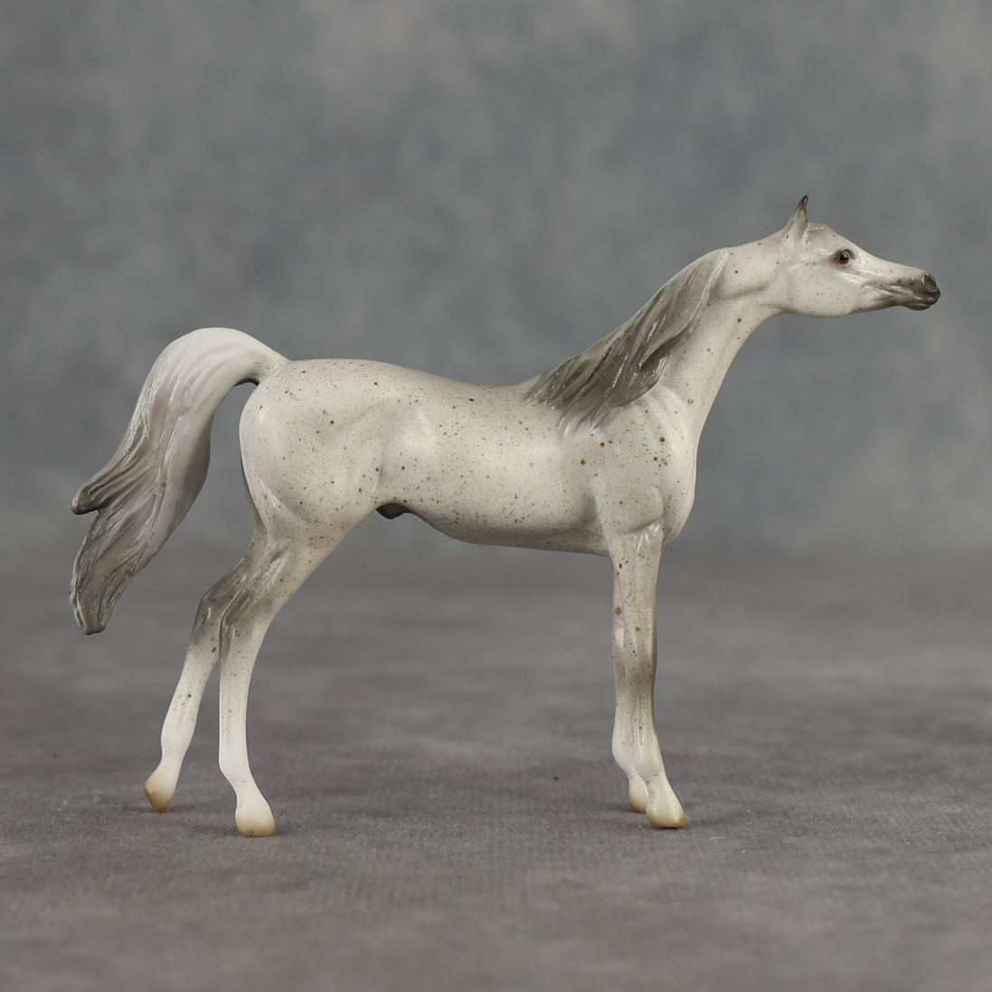 Tectonic LE-5 Chip Arabian by Jess Hamill SCD26