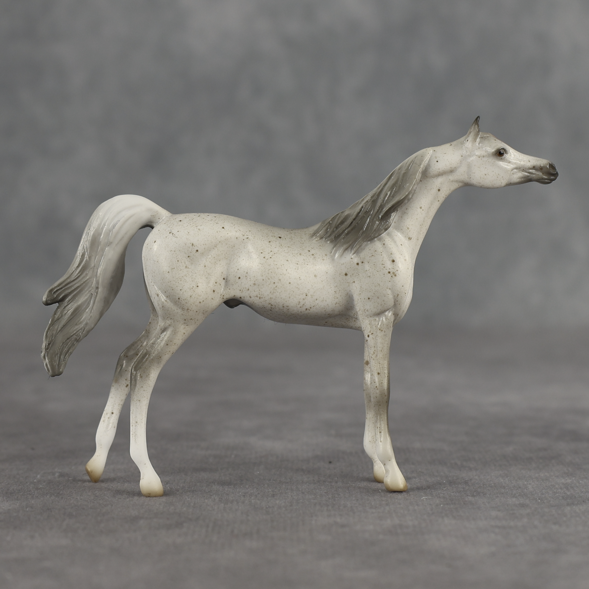 Tectonic LE-5 Chip Arabian by Jess Hamill SCD26
