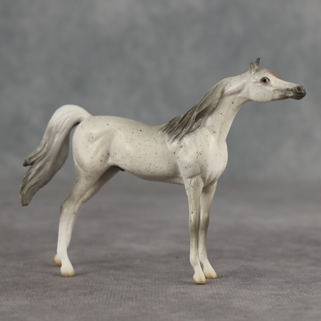 Tectonic LE-5 Chip Arabian by Jess Hamill SCD26