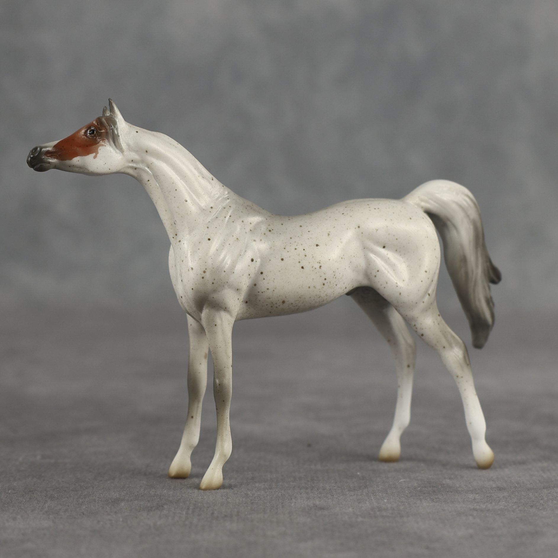 Tectonic LE-5 Chip Arabian by Jess Hamill SCD26