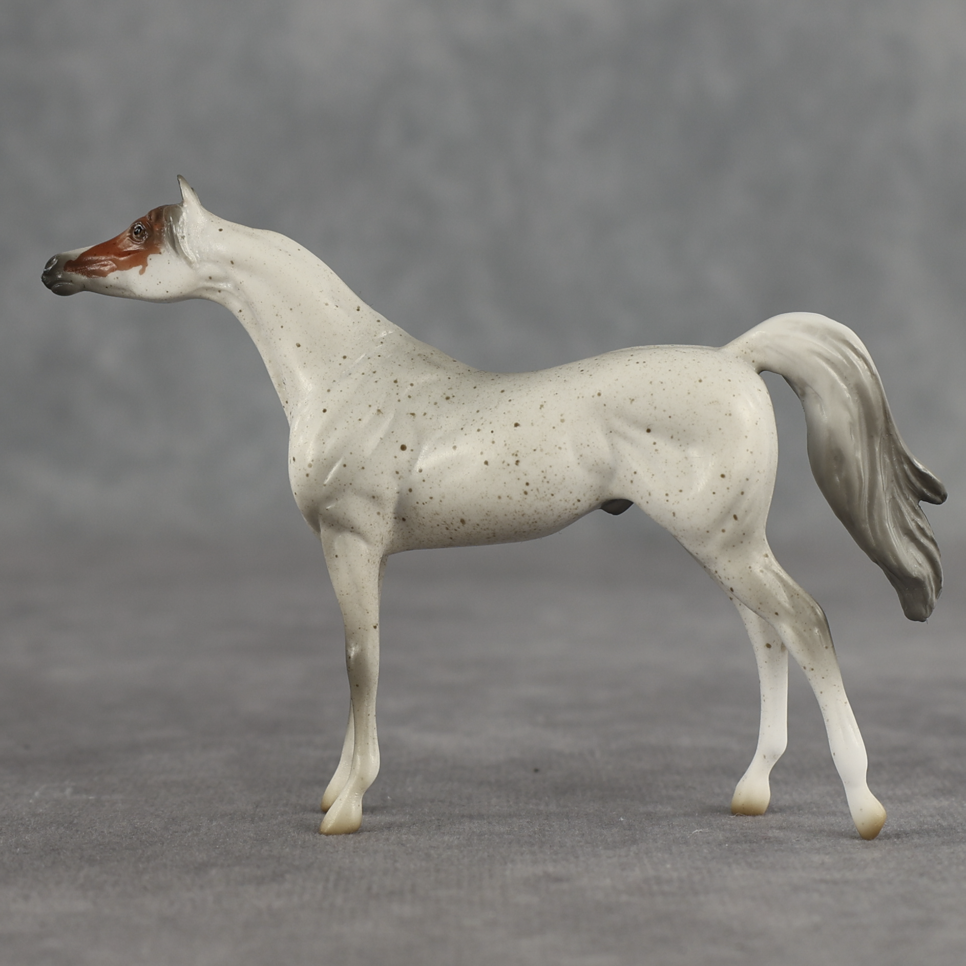 Tectonic LE-5 Chip Arabian by Jess Hamill SCD26