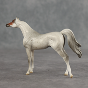 Tectonic LE-5 Chip Arabian by Jess Hamill SCD26