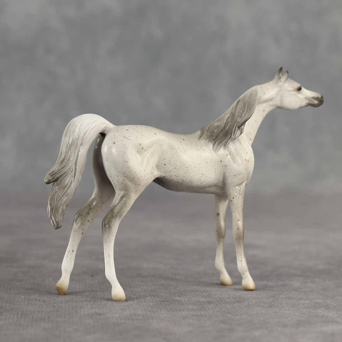 Tectonic LE-5 Chip Arabian by Jess Hamill SCD26