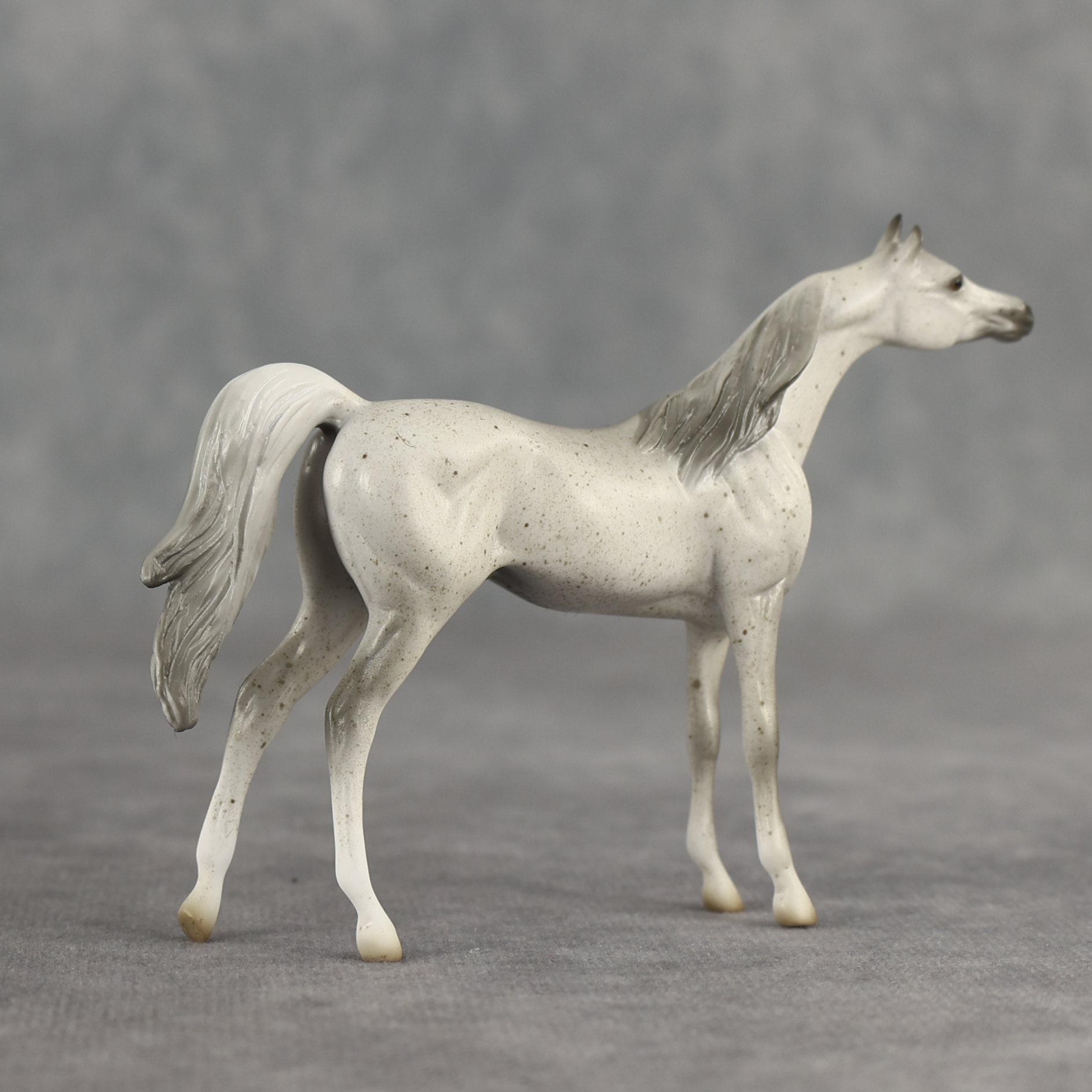 Tectonic LE-5 Chip Arabian by Jess Hamill SCD26