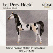 Eat Pray Flock OOAK Arabian Stallion by Anna Rieck DDOOAKs26