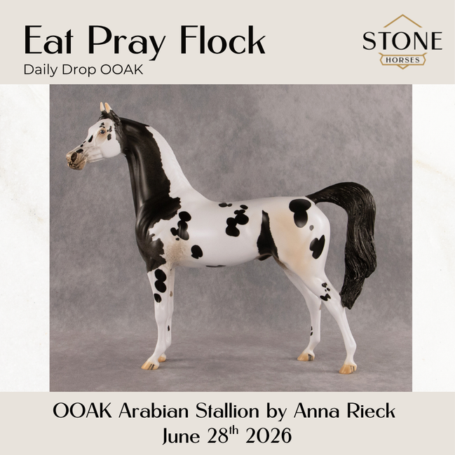 Eat Pray Flock OOAK Arabian Stallion by Anna Rieck DDOOAKs26