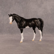 Ebony OOAK Pebble Arabian Mare by Madi Wiseman EQ26