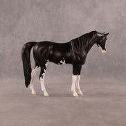 Ebony OOAK Pebble Arabian Mare by Madi Wiseman EQ26