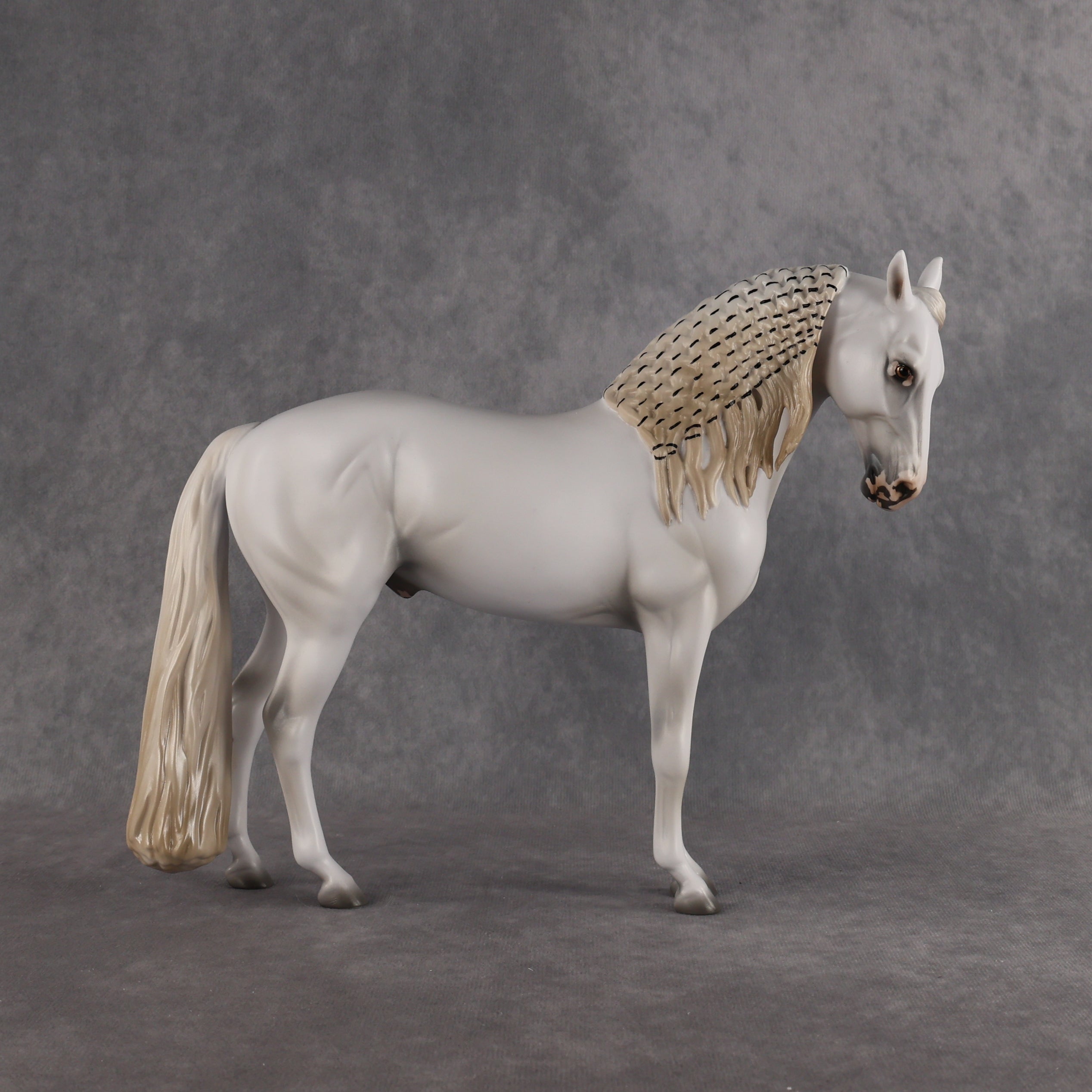 Eidolon LE-7 FCM Andalusian by Ashley Palmer EL26