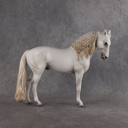 Eidolon LE-7 FCM Andalusian by Ashley Palmer EL26