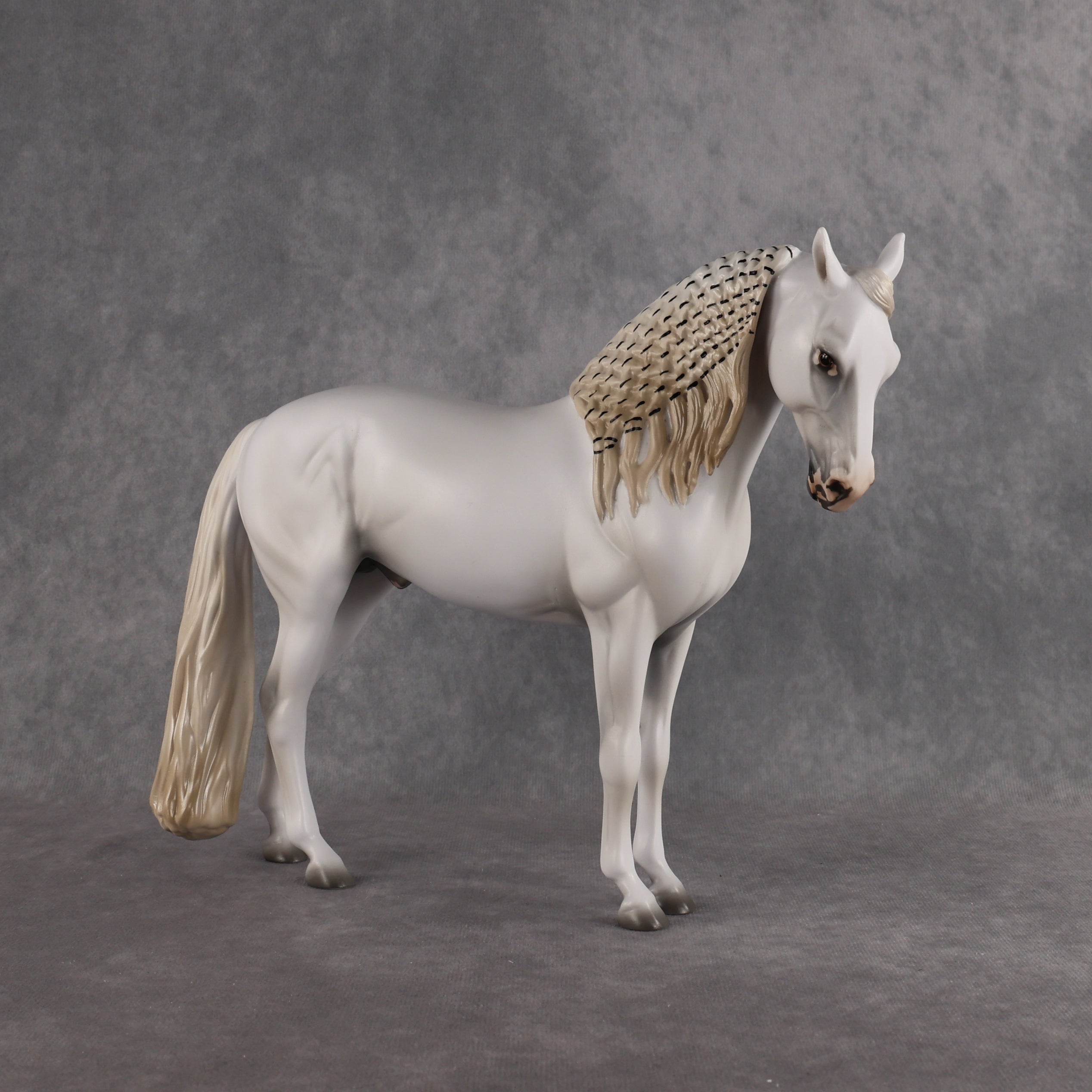 Eidolon LE-7 FCM Andalusian by Ashley Palmer EL26