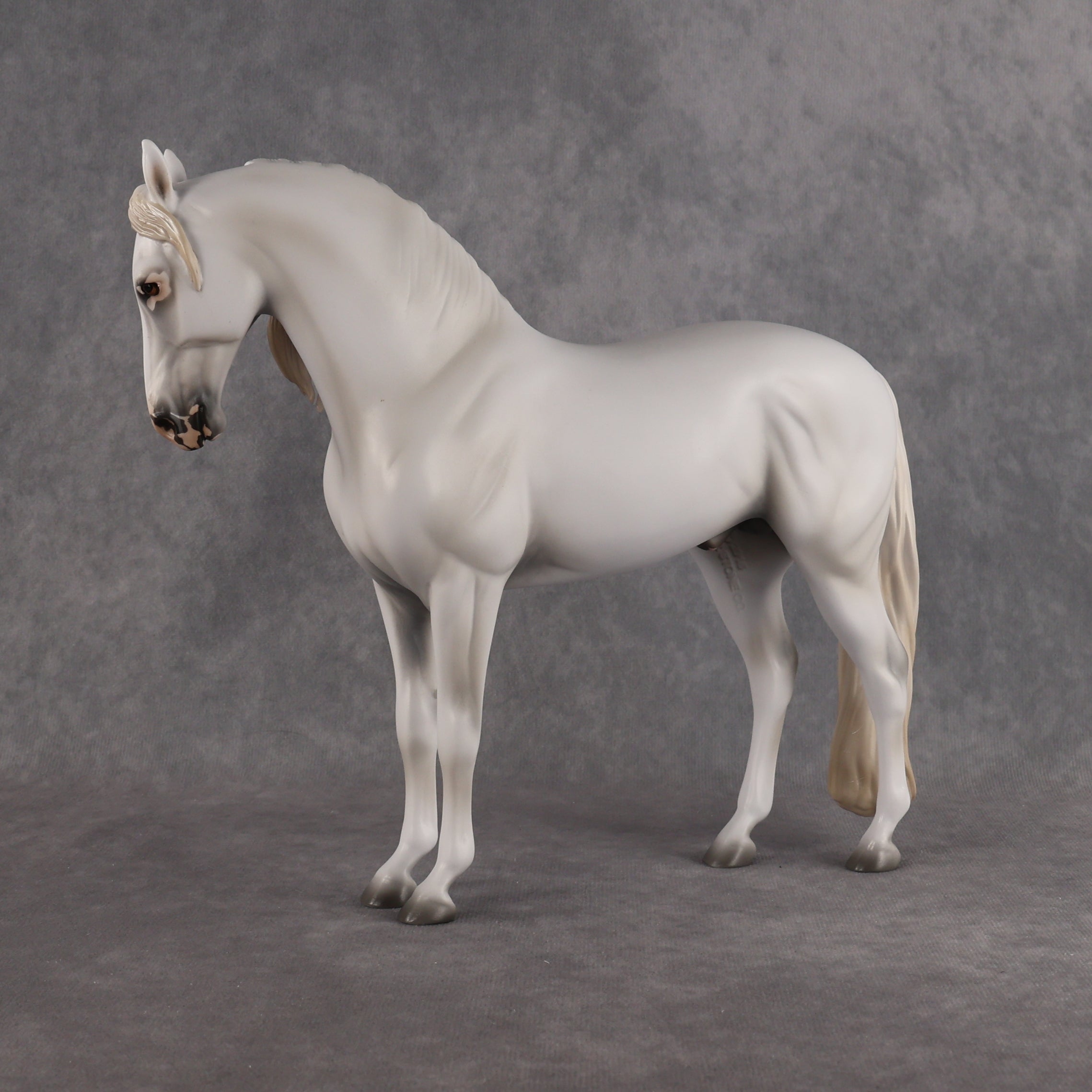 Eidolon LE-7 FCM Andalusian by Ashley Palmer EL26