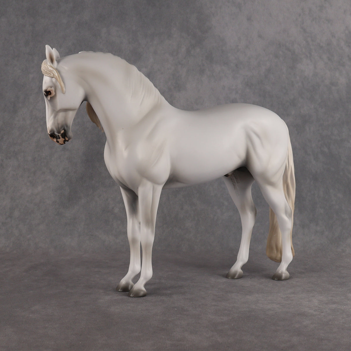 Eidolon LE-7 FCM Andalusian by Ashley Palmer EL26