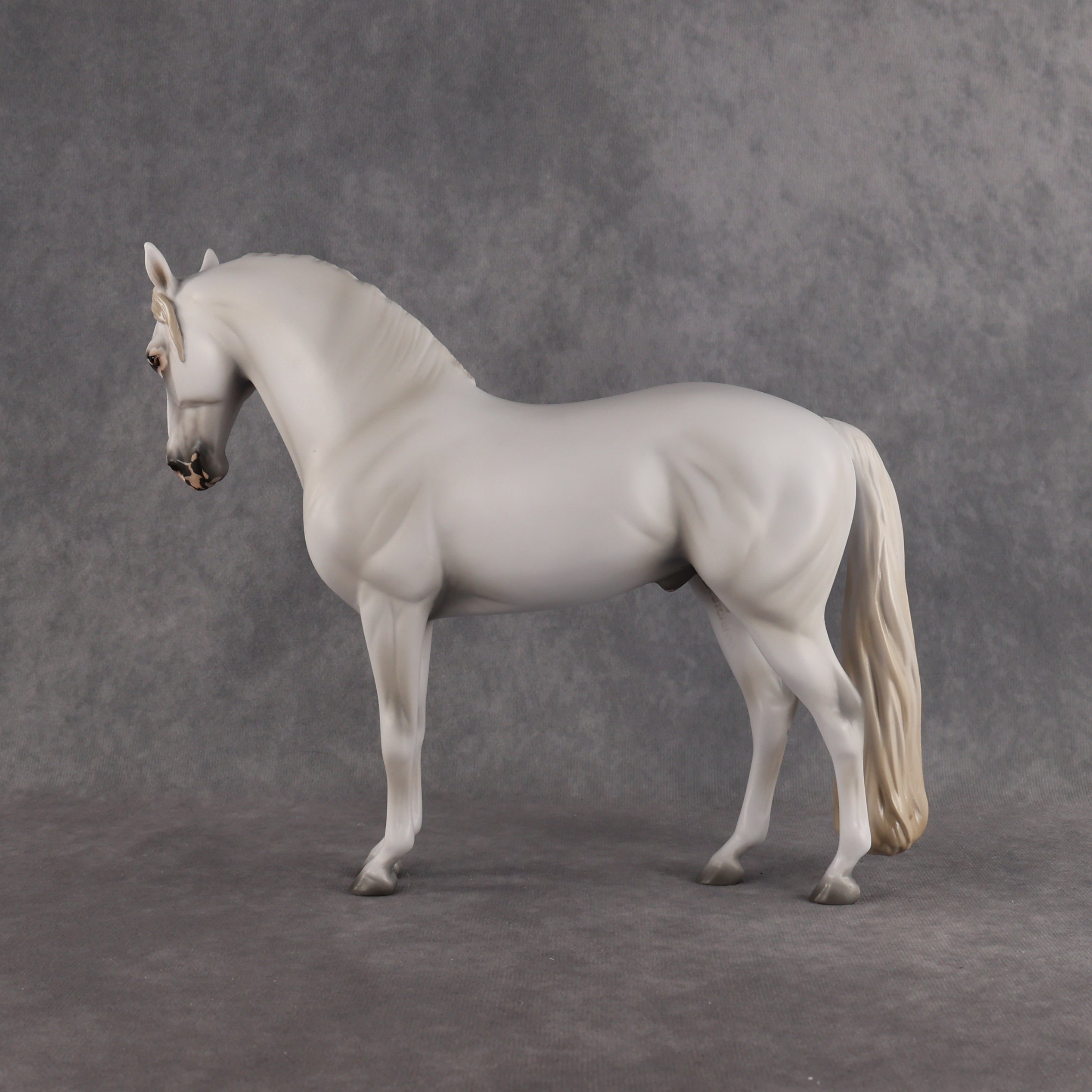Eidolon LE-7 FCM Andalusian by Ashley Palmer EL26