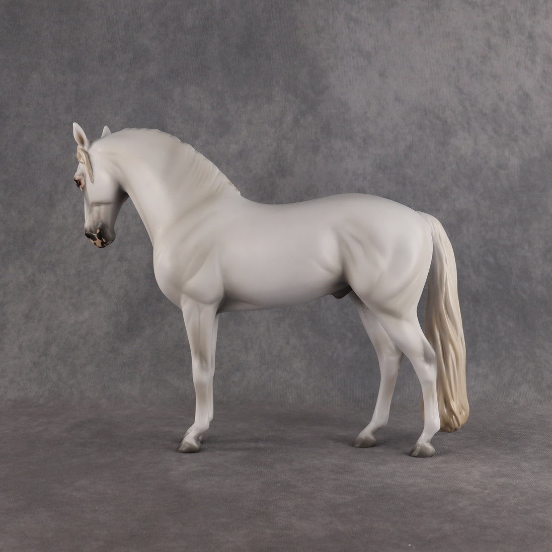 Eidolon LE-7 FCM Andalusian by Ashley Palmer EL26
