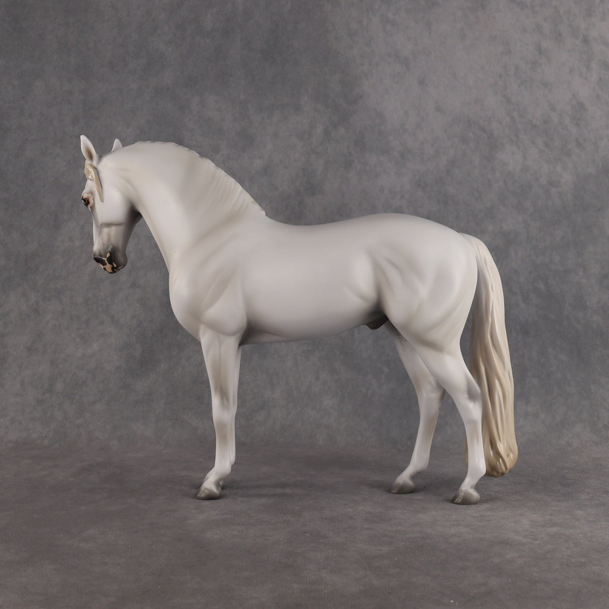 Eidolon LE-7 FCM Andalusian by Ashley Palmer EL26