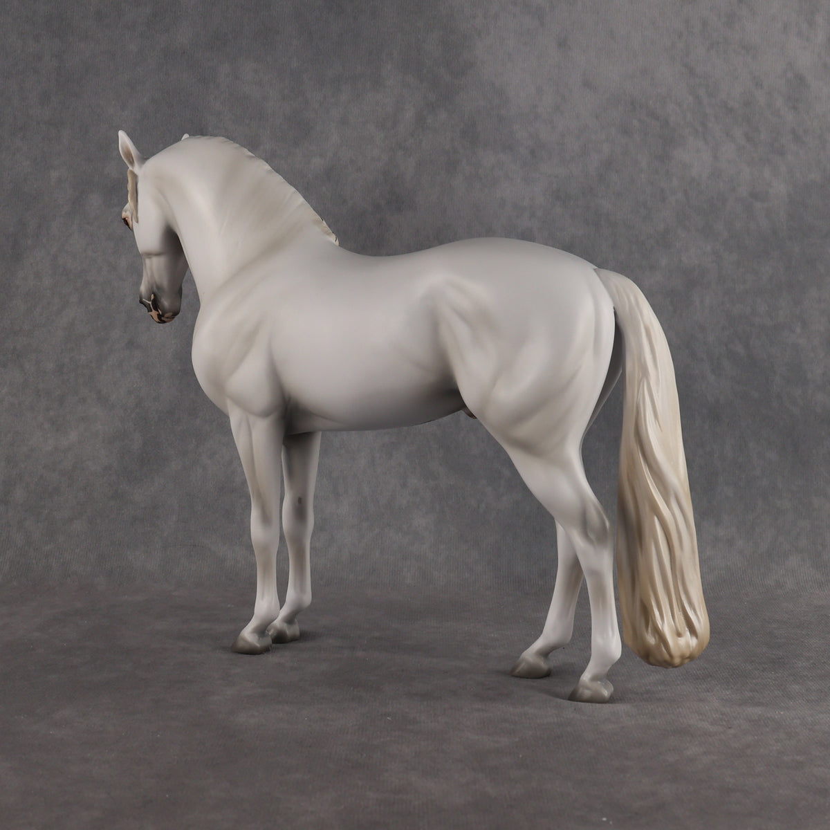 Eidolon LE-7 FCM Andalusian by Ashley Palmer EL26
