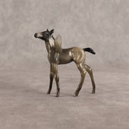 Eleanor OOAK FCM Chip Foal by Angela Marleau FTF26