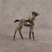 Eleanor OOAK FCM Chip Foal by Angela Marleau FTF26