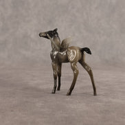 Eleanor OOAK FCM Chip Foal by Angela Marleau FTF26