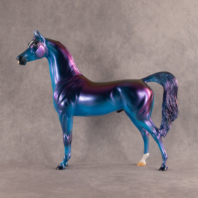 Electric Lapis OOAK Arabian Stallion by Erin Corbett EQ26