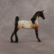 Elevensies OOAK Pebble Saddlebred by Alex Fortman LHS26
